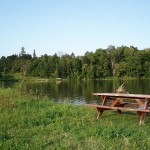 Milne Dam Conservation Park