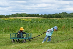 Wagon at Farm Markham Real Estate Blog