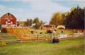 Farm in Cashel Markham Real Estate Blog