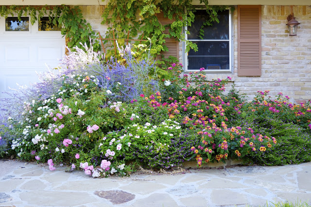 flowers in front of house