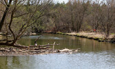 Milne Dam Conservation